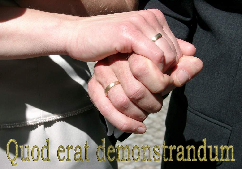 Bild des Monats